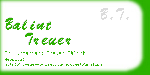 balint treuer business card